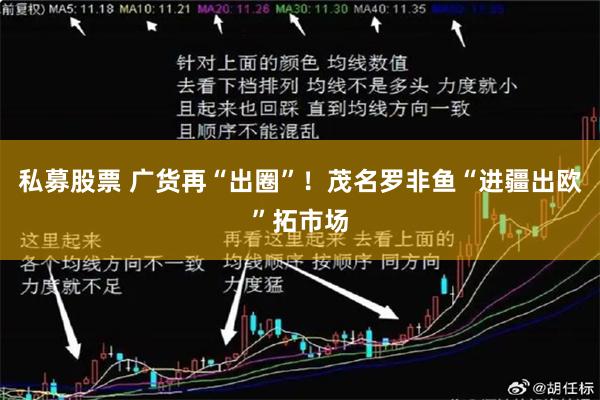 私募股票 广货再“出圈”！茂名罗非鱼“进疆出欧”拓市场