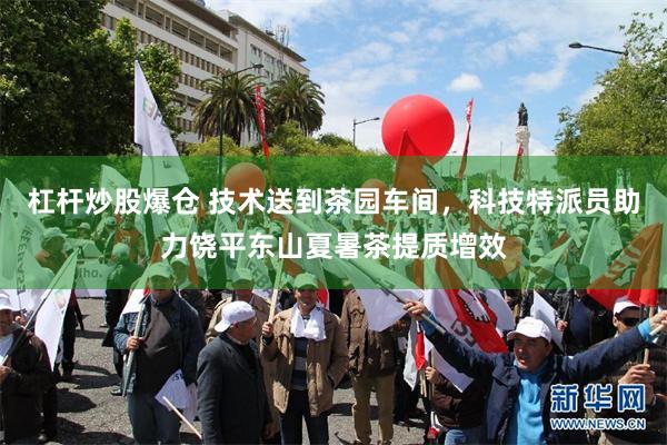 杠杆炒股爆仓 技术送到茶园车间，科技特派员助力饶平东山夏暑茶提质增效
