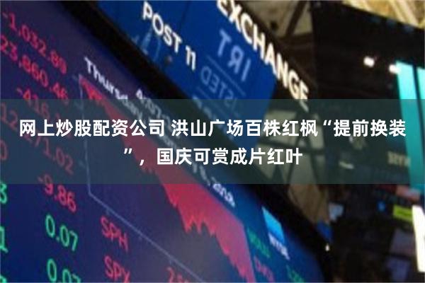 网上炒股配资公司 洪山广场百株红枫“提前换装”，国庆可赏成片红叶