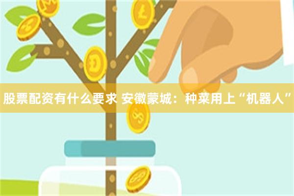 股票配资有什么要求 安徽蒙城：种菜用上“机器人”