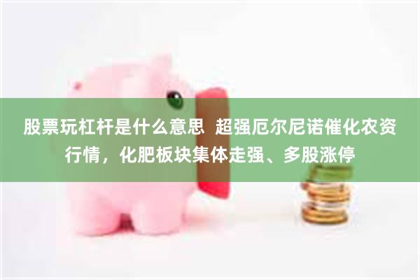 股票玩杠杆是什么意思  超强厄尔尼诺催化农资行情，化肥板块集体走强、多股涨停