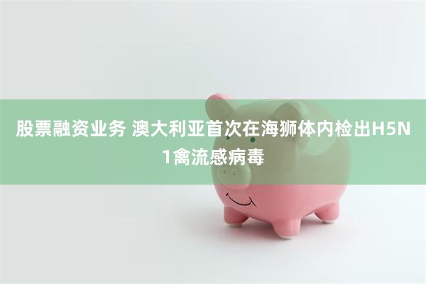 股票融资业务 澳大利亚首次在海狮体内检出H5N1禽流感病毒
