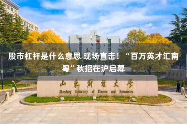 股市杠杆是什么意思 现场直击!“百万英才汇南粤”秋招在沪启幕