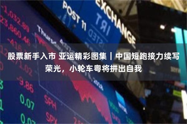 股票新手入市 亚运精彩图集|中国短跑接力续写荣光,小轮车粤将拼出自我