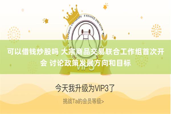 可以借钱炒股吗 大宗商品交易联合工作组首次开会 讨论政策发展方向和目标