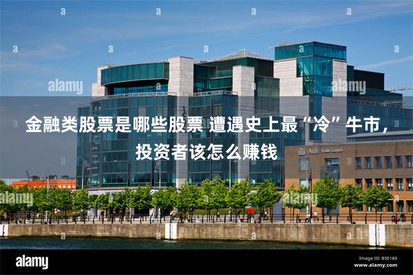 金融类股票是哪些股票 遭遇史上最“冷”牛市，投资者该怎么赚钱