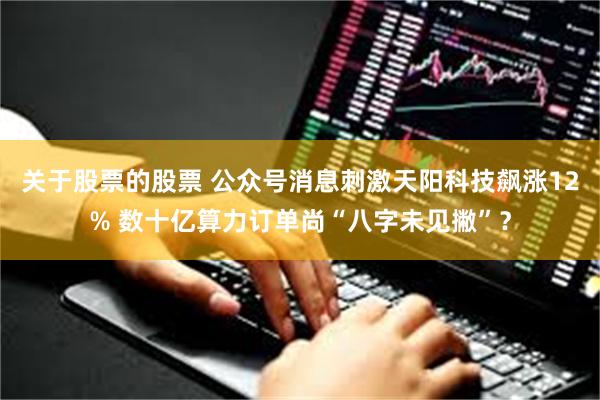 关于股票的股票 公众号消息刺激天阳科技飙涨12% 数十亿算力订单尚“八字未见撇”？