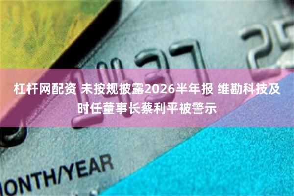 杠杆网配资 未按规披露2026半年报 维勘科技及时任董事长蔡利平被警示