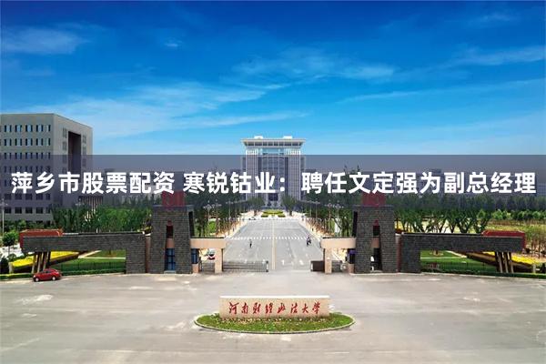 萍乡市股票配资 寒锐钴业：聘任文定强为副总经理